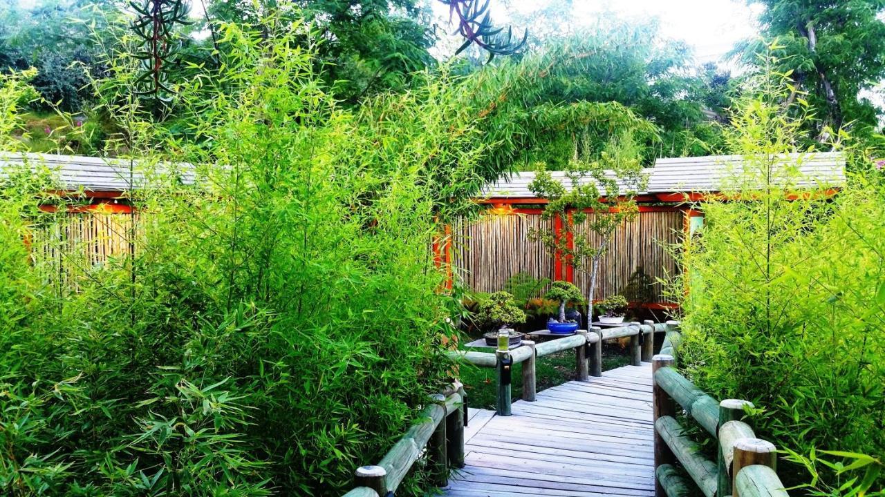 Paradise Private Zen Studios Knysna Dış mekan fotoğraf